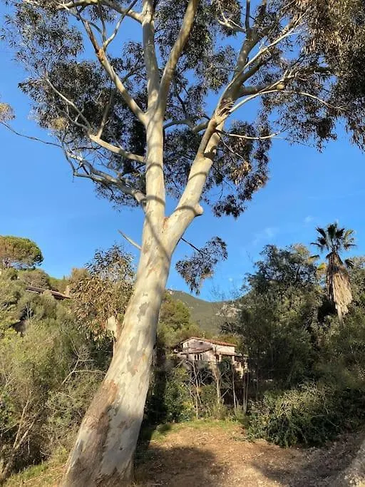 Seafront Villa In Exclusive Location Monte Argentario
