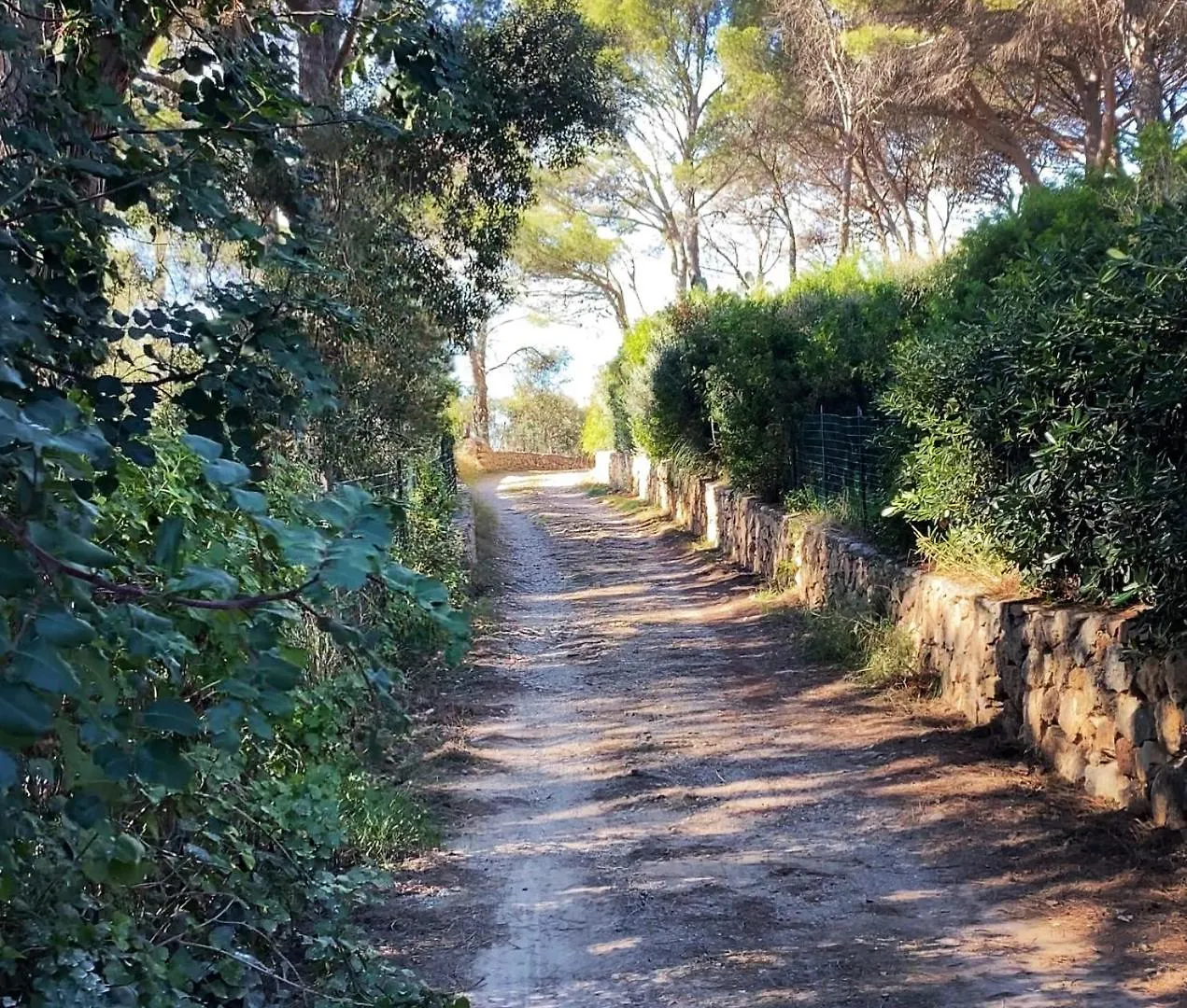 Seafront Villa In Exclusive Location Monte Argentario